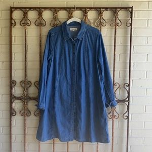 A line button front denim dress